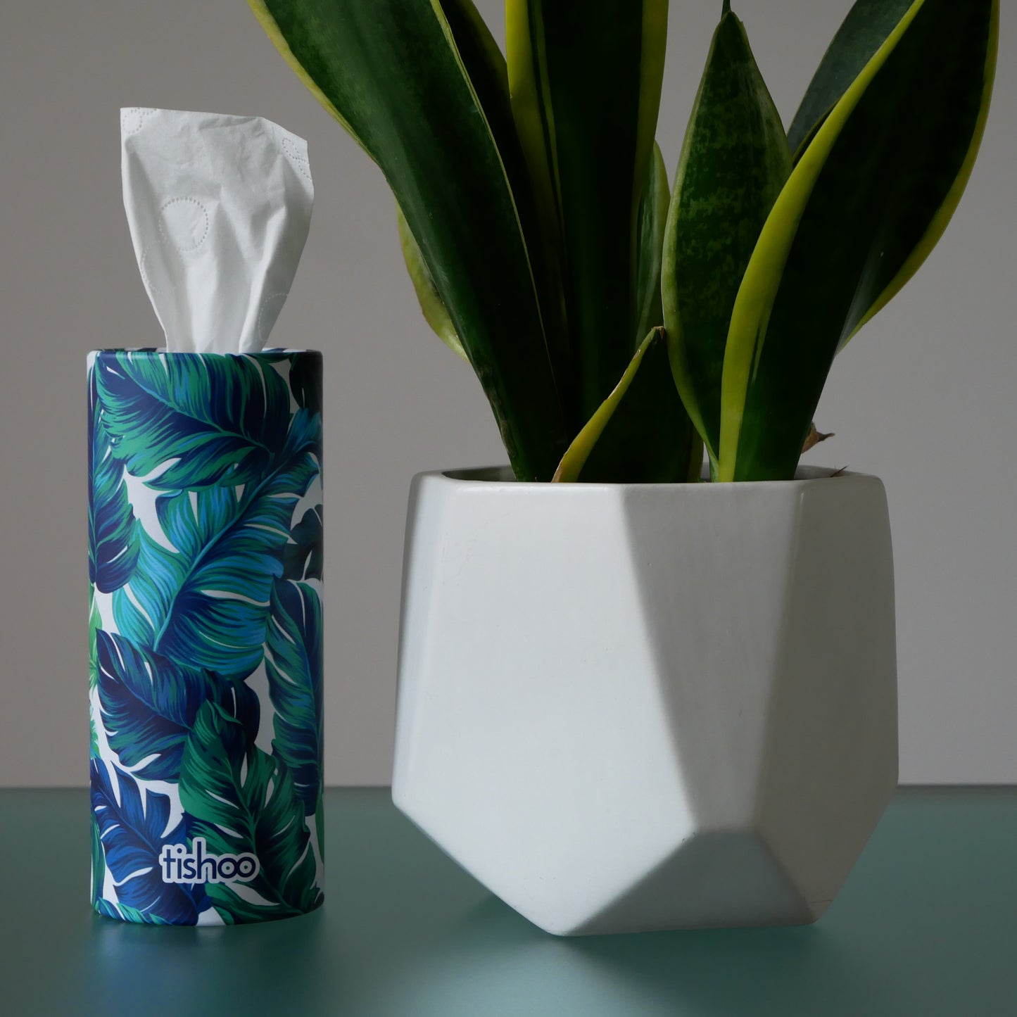tishoo Luxury Tissues Green/Leaves design on table next to plant